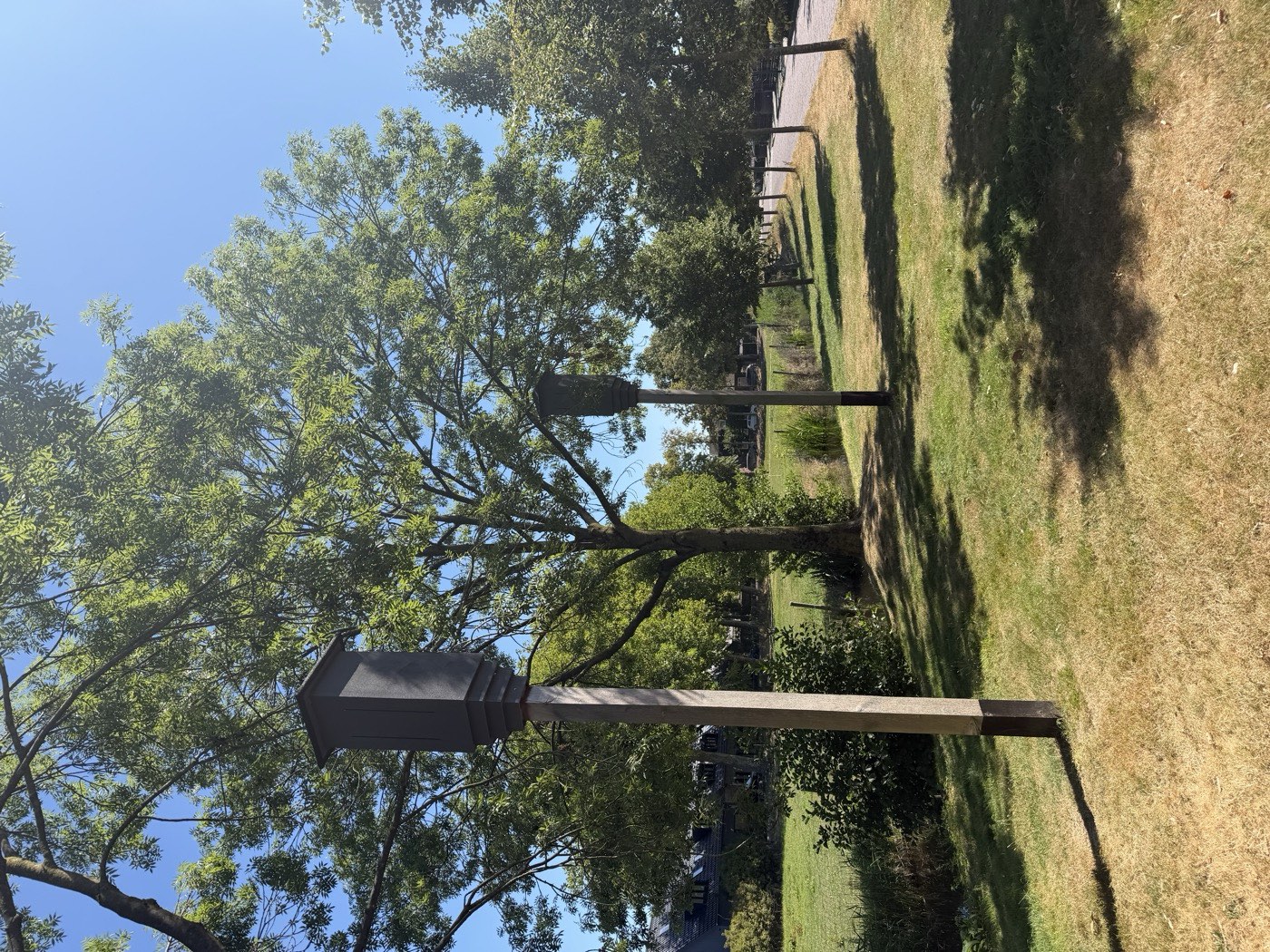 Vleermuispaal opgesteld in een grasveld langs een watergang